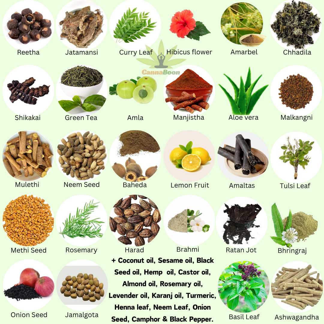 CannaBoon Herbal hair Oil 100ml - Image 3